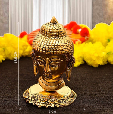 https://cdn.shopify.com/s/files/1/1857/6931/files/JOKV00FxWN-149260.jpg?v=1736149506